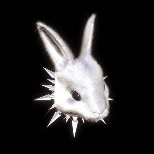 @auvision x @EndlessFly - liem