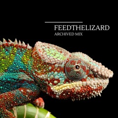 Feedthelizard - Archived Mix 2.