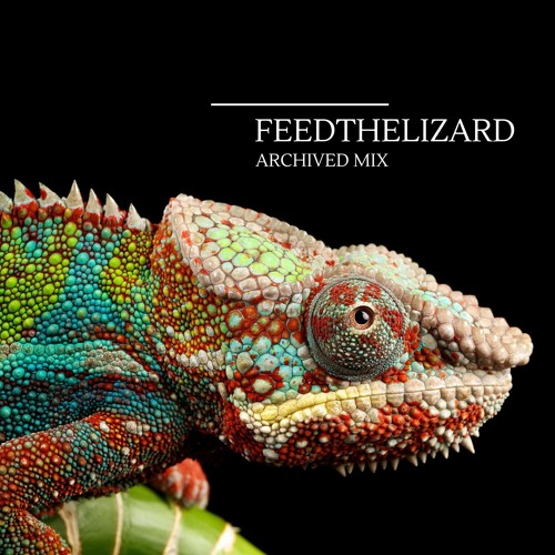 Feedthelizard - Archived Mix 2.