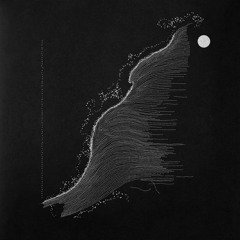 SUNDOWN* (Black Vinyl)