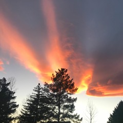 FIELD OF INVINCIBILITY (excerpts)