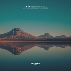 LTR Premiere : B.A.X. - Vortex Cloud [3rd Avenue]