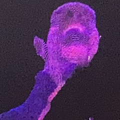 I NEED IT . Kaytranada Masego . TMB Jersey Club Mix (RetLaw X 5pazzthalord)