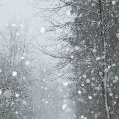 Always in the process