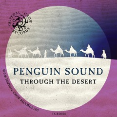 Through The Desert EP CLIPS (TCRD006)