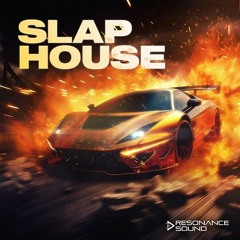 Resonance Sound Slap House