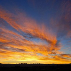 Moontribe March 2025 (Sunrise)