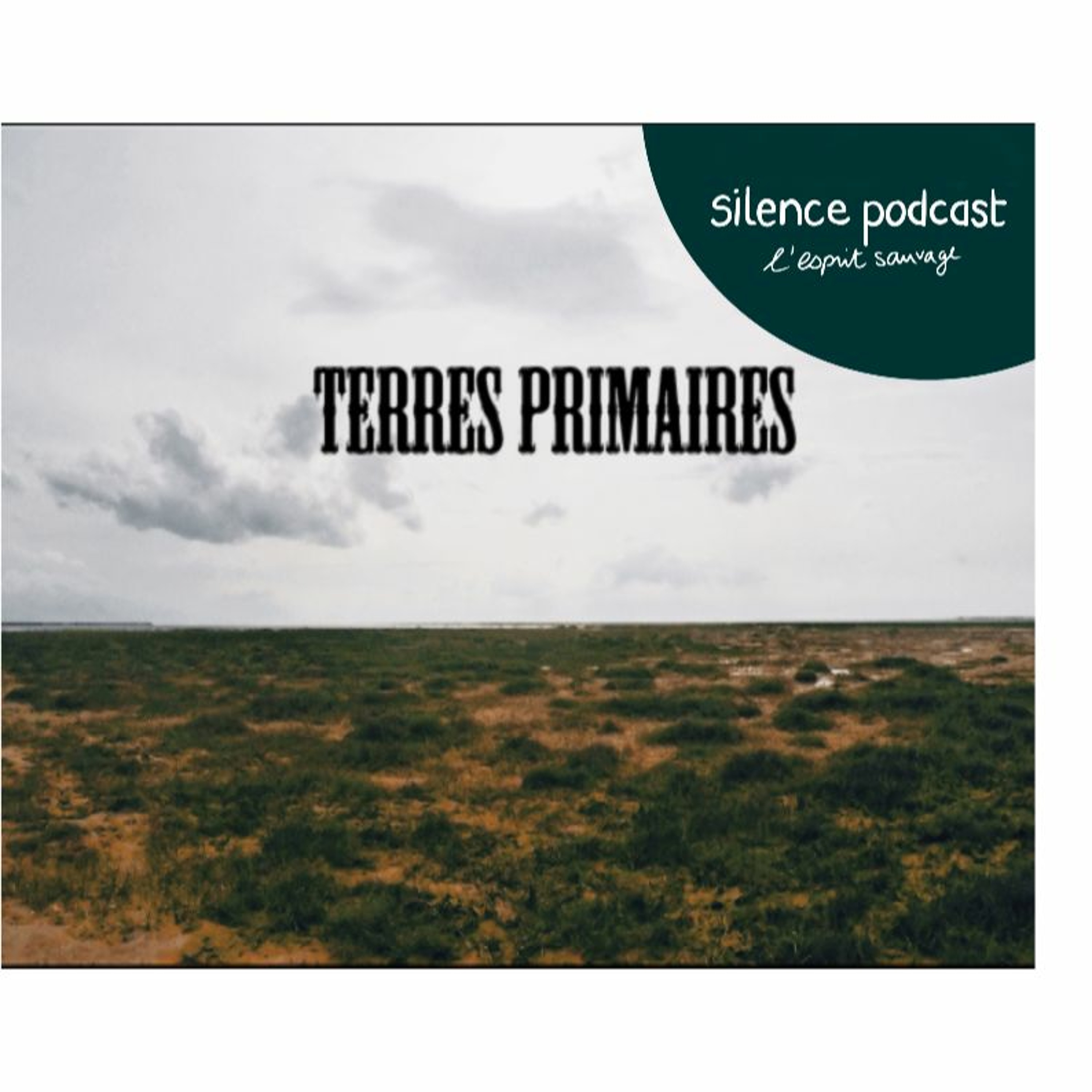 Silence Podcast