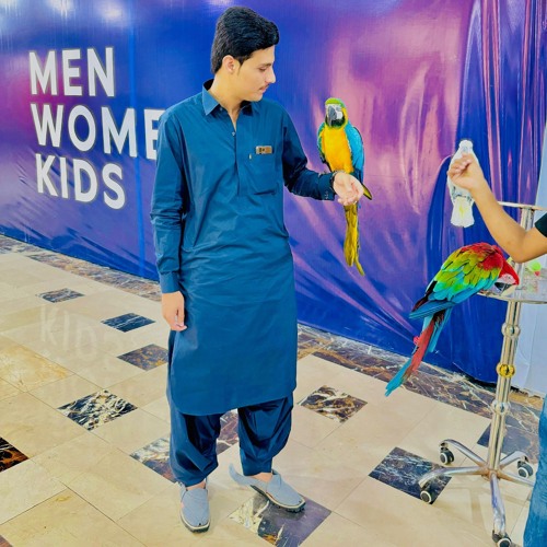 Starge_Afghani_Lare_ mina kandri lara Akbarshahnikzad__2024_song
