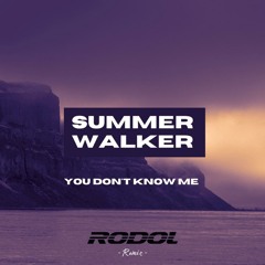 Summer Walker - You Don't Know Me (RODOL Remix)