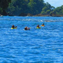 Best Cano Island Costa Rica Snorkeling Tours Prices Reviews