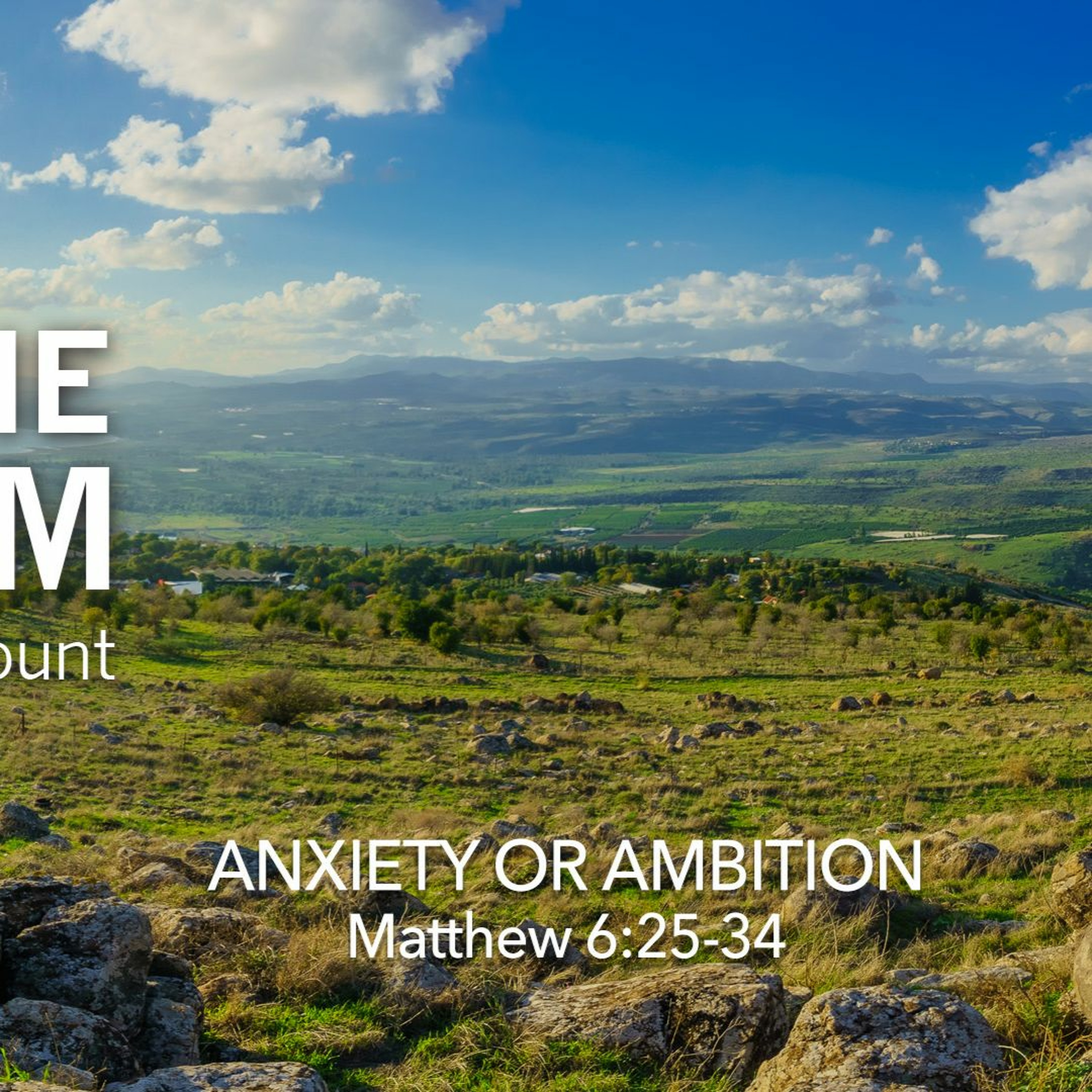 Anxiety or Ambition (The Hub)