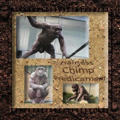 Walking down those dark corridors again only to meet eyes with the entity which sapped me of my life