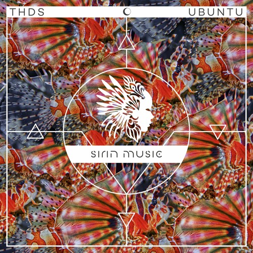 HMWL Premiere: Thds - Luz (Original Mix)