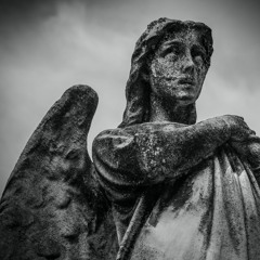false angel
