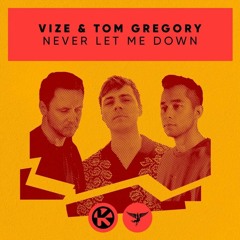 VIZE & Tom Gregory - Never Let Me Down ($Hogie$ Remix)
