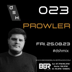 DSH 023 - PROWLER
