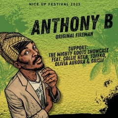 Swashii - Nice Up Festival Custom