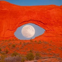 left the door open (unplugged/uke)