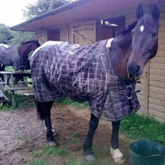 I See The Rope A Holy Life