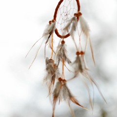 Wij zijn degenen waarop het wachten was. Profetie van de Hopi-Ouden, 8 juni 2000