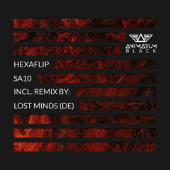 Sa10 (Lost Minds (DE) Remix)
