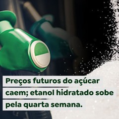 Preços futuros do açúcar caem; etanol hidratado sobe pela quarta semana