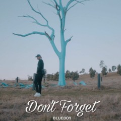 Blueboy - Don't Forget