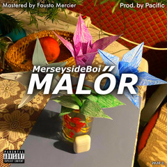 MerseysideBoi - Malőr (prod. by Pacific, mastered by Fausto Mercier)