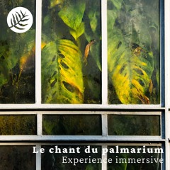 EXPERIENCE IMMERSIVE : Le chant du Palmarium - Extraits