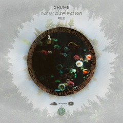 Episodio 31 - Natural Selection