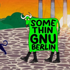 Musumeci & Phunkadelica at Somethingnu in Berlin, Kater 310525