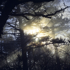 ESTRANGEMENT live KYIV 2021 part 3