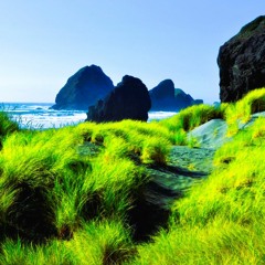 Rocks
