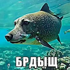 чюпеп