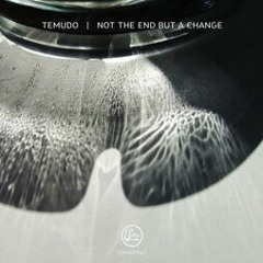Premiere: Temudo "The Beholder" - Soma Records