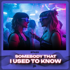 TEKNODYN - Somebody That I Used To Know (Techno)