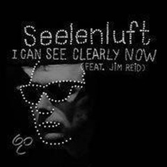 Jim Reid ft. Seelenluft - I can see clearly now Jesus and Juliet mix