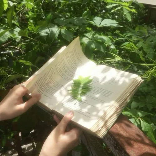 가은 - 해야