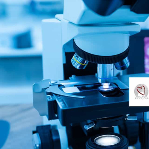 Advanced Dermatopathology Online Course