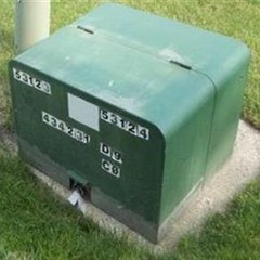 THE GREEN BOX (PAIDSTYLE)