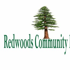Redwoods Community Report ep 1