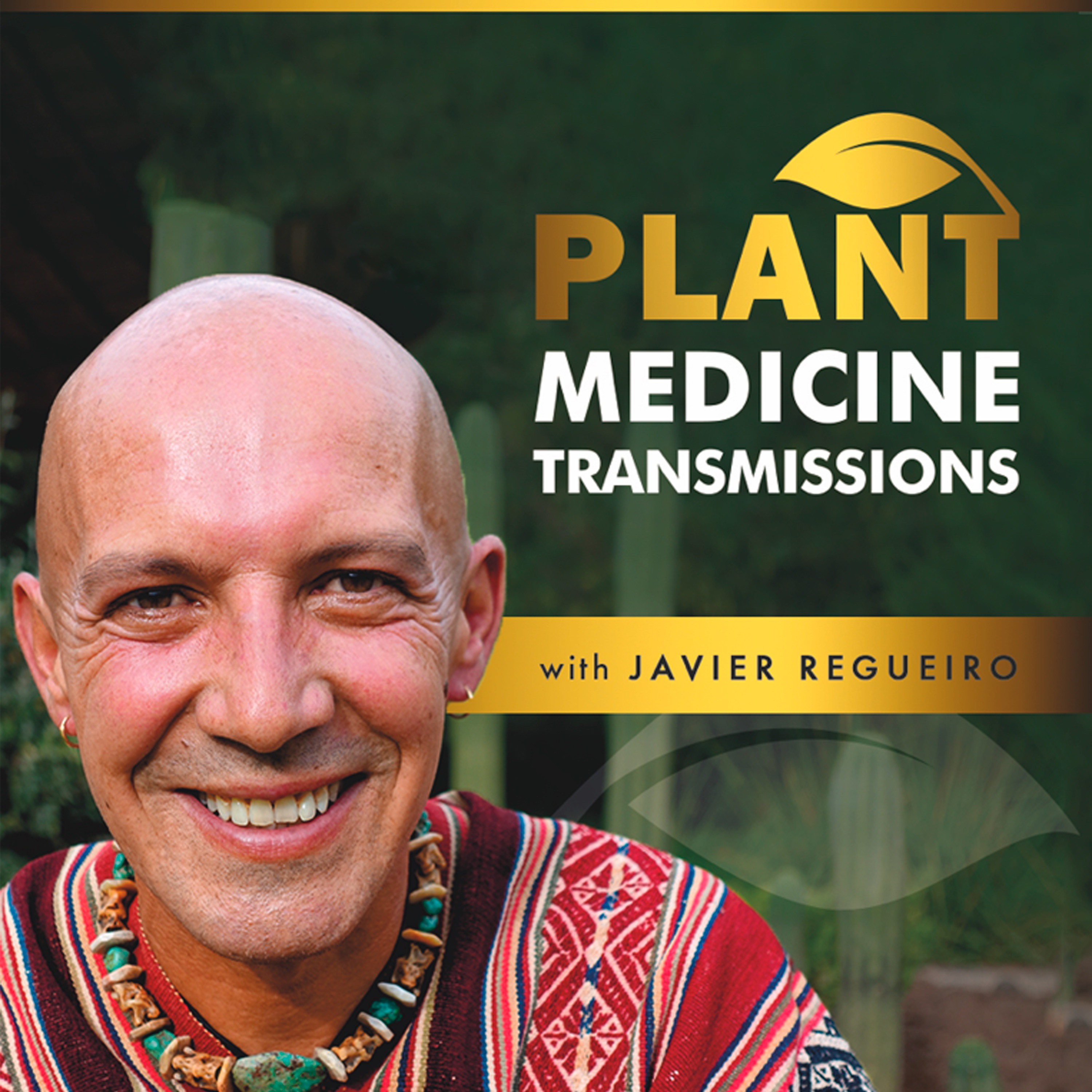 #33 - PLANT MEDICINE LESSONS  IN PANDEMIC TIMES II