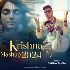 Krishna Mashup 2024
