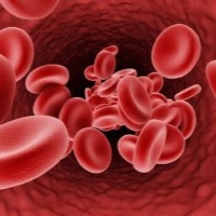 gloedgloep_ft.DiscoDries&Fritz2K