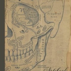 Read ebook [PDF] Composition Notebook: Vintage Skull Anatomy Illustration J