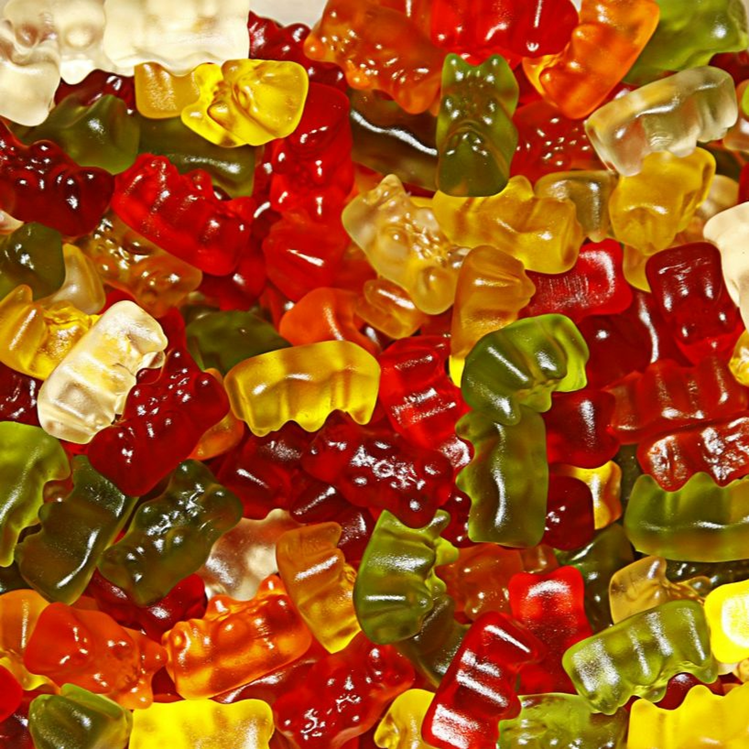 Episode 34: Kashrus - Gelatin