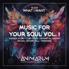 What I Want (Original Mix)