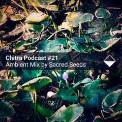 Chitra Podcast #21 Ambient Mix by Sacred Seeds