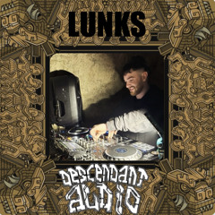LUNKS - PIANO HARDCORE